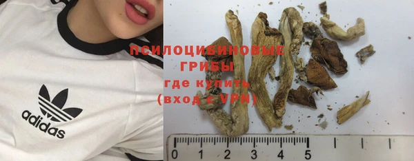 спиды Алзамай